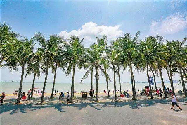 海口市推出5条元旦旅游路线，五种不同的游玩方法！