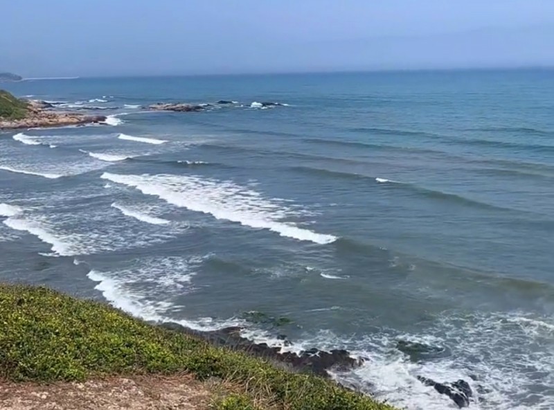 网友白天拍下的黑排角赤潮1