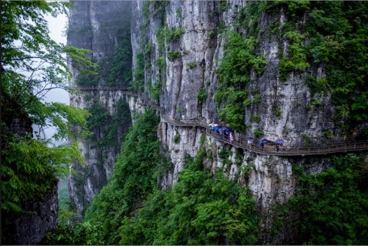 板桥鹿院坪