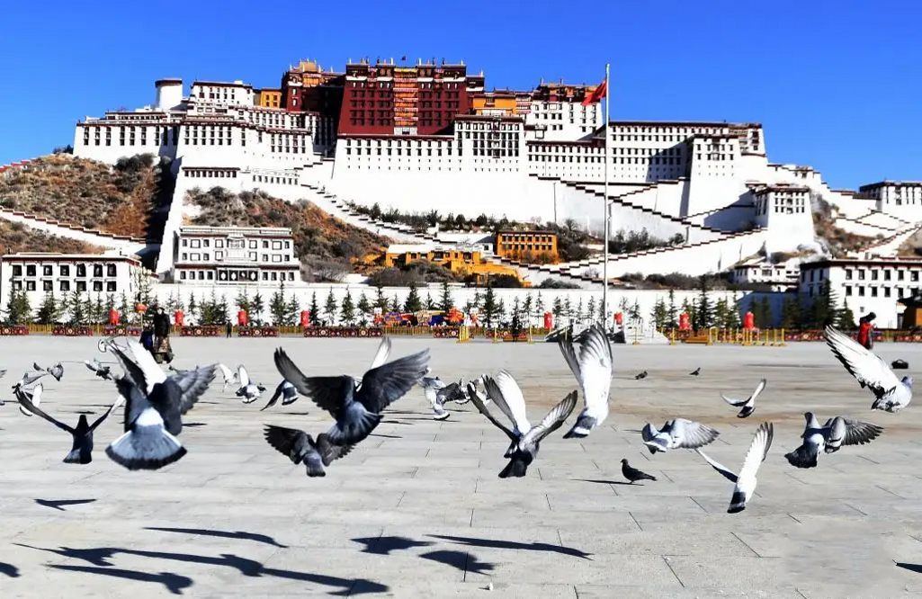  拉萨旅游必去的5个景点，1、布达拉宫。