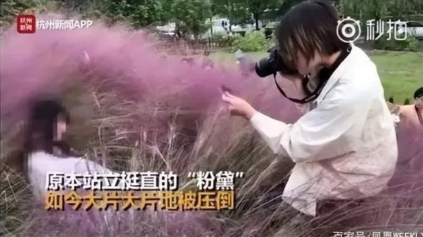 杭州的江滨公园曾被游客反复踩踏花田。