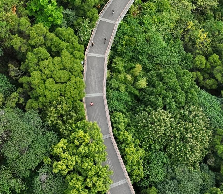 福州打造城市慢行步道，以累计建成步道约700公里